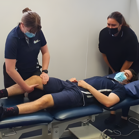 therapists doing knee work